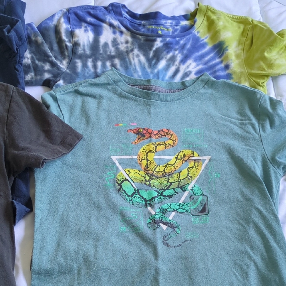 6 Short Sleeve Tees